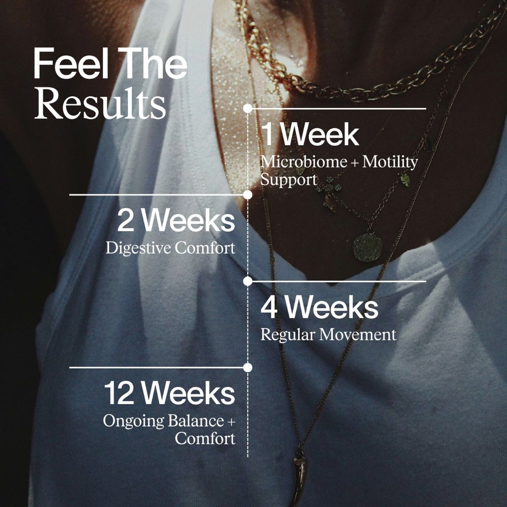 GI Fix - Image 5