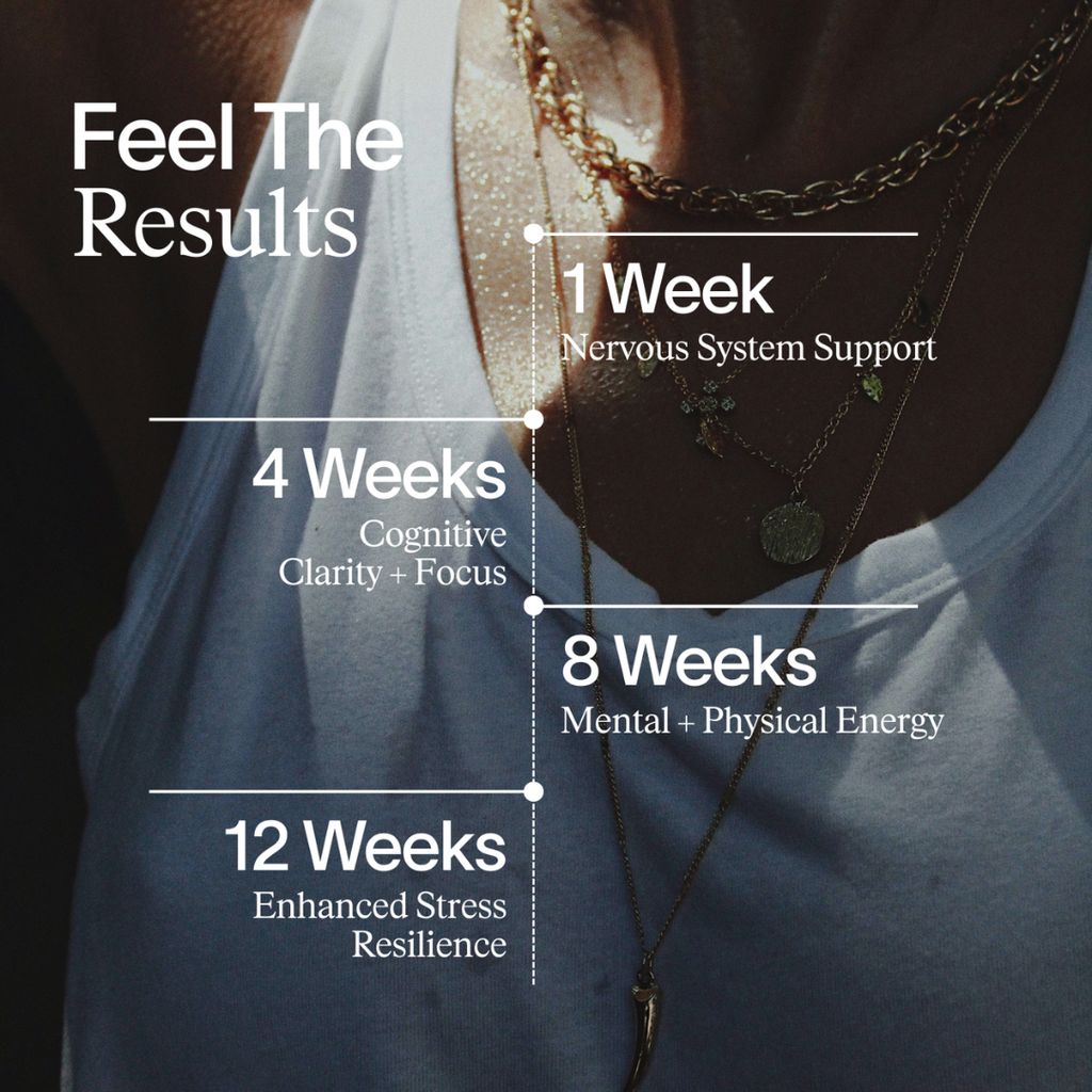 Enhanced Nootropics - Image 5