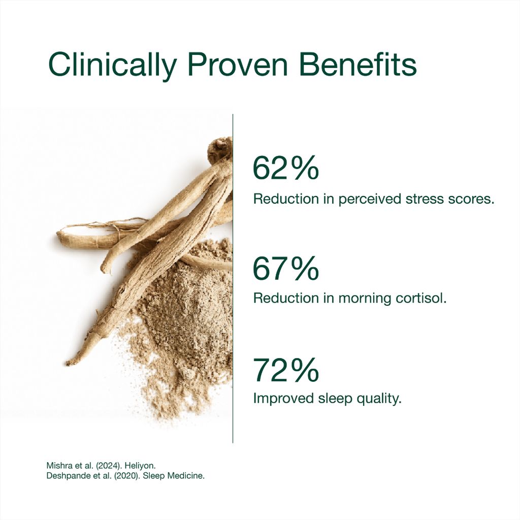 Ashwagandha Bioactive - Image 5