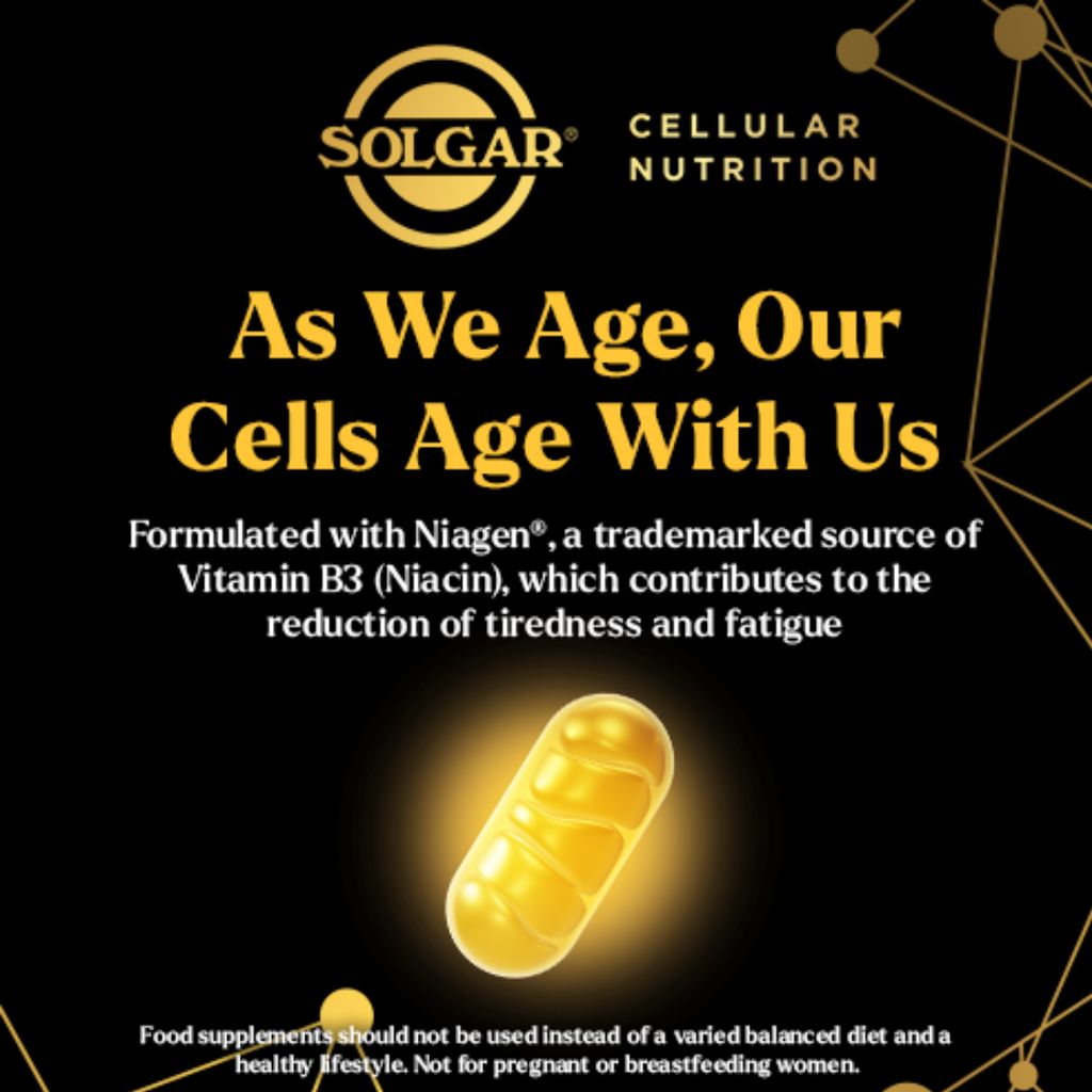 Cellular Energy - Image 7