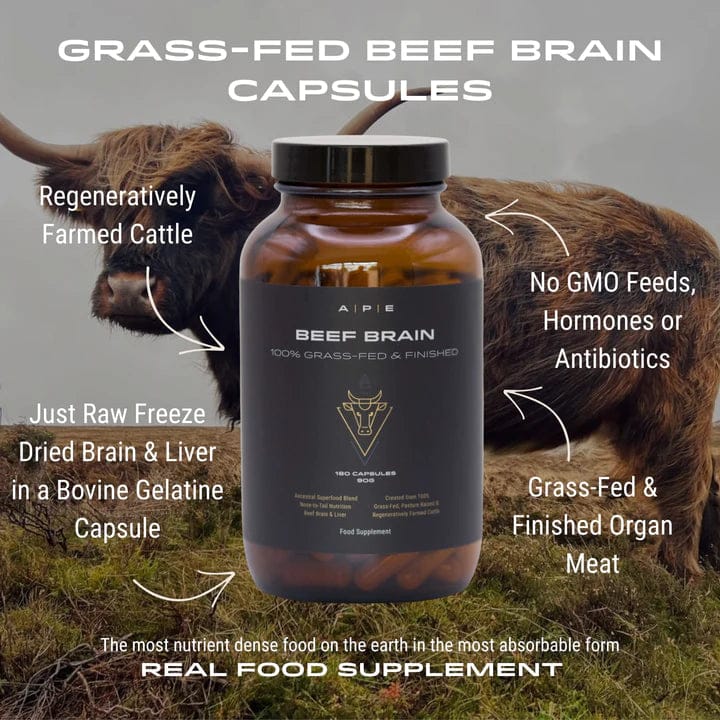 Beef Brain - Image 6