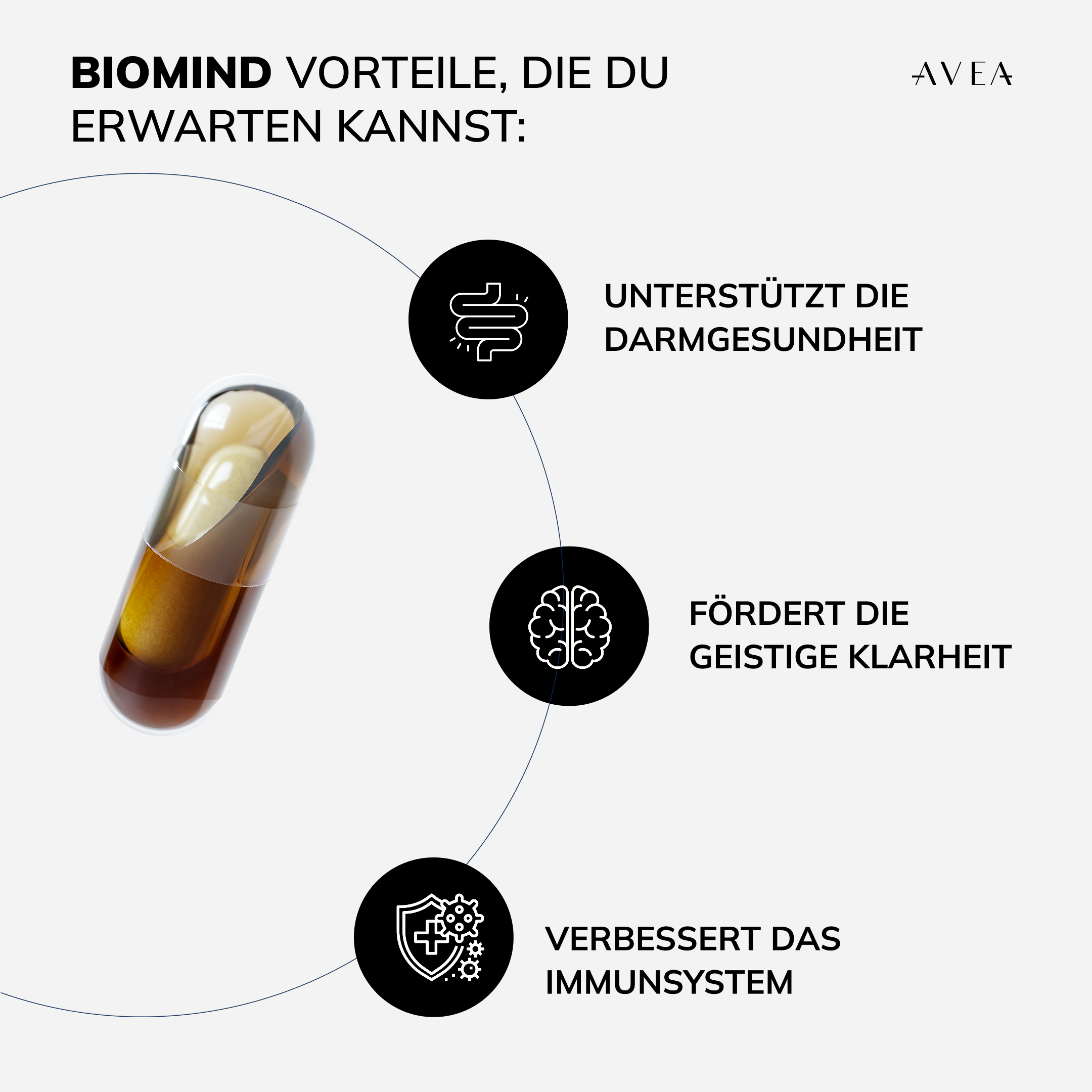 Biomind · Darm- und Mental-Komplex - Image 5