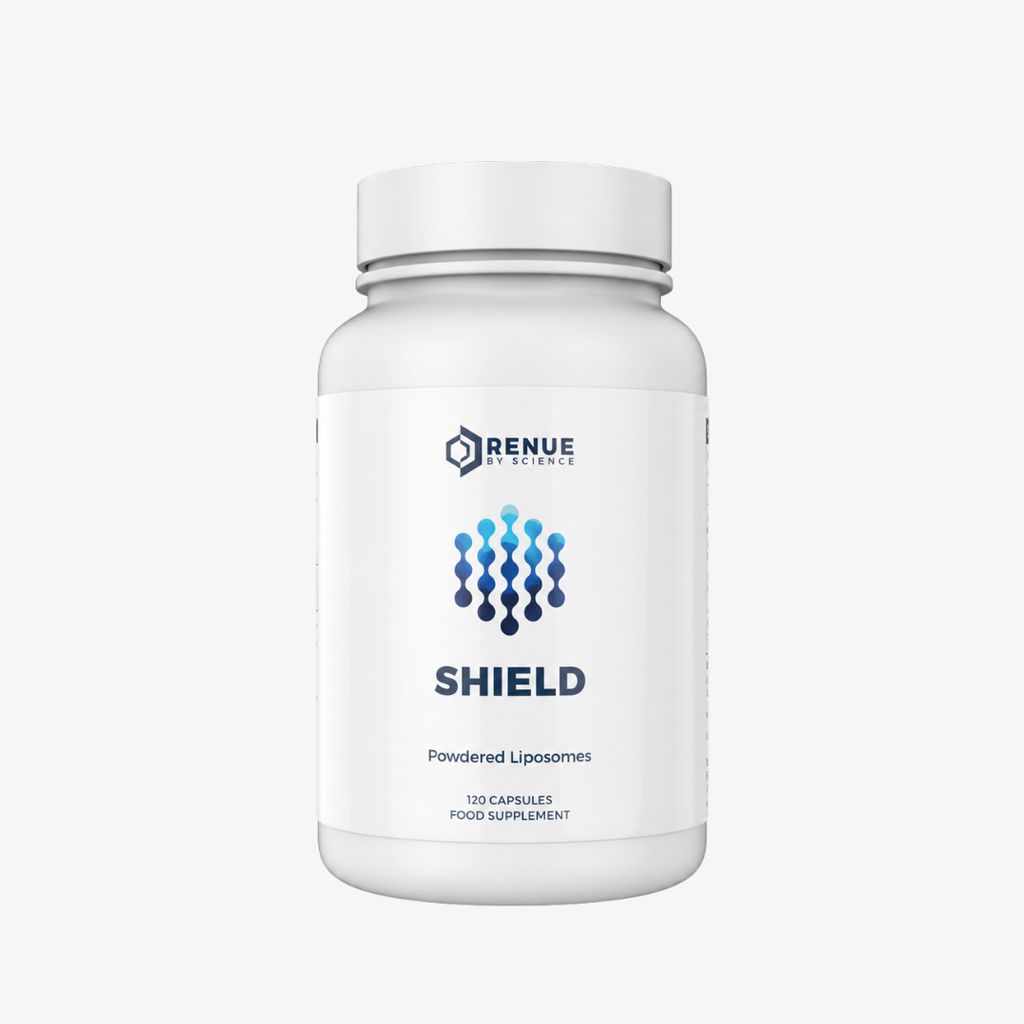 Shield - Image 1