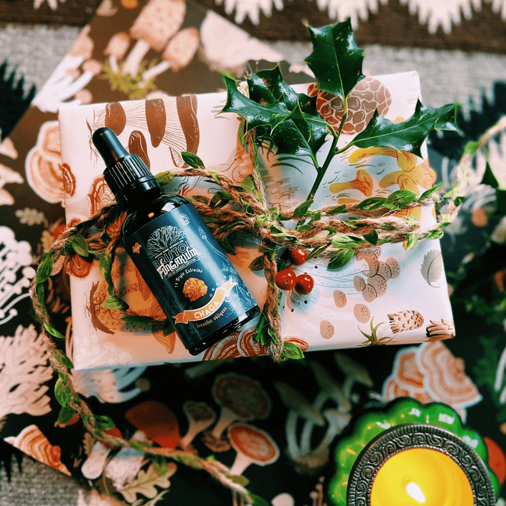 Organic Chaga Tincture - Image 3