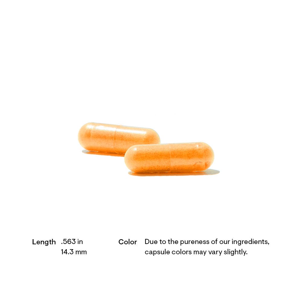 Riboflavin 5'-Phosphate - Image 5