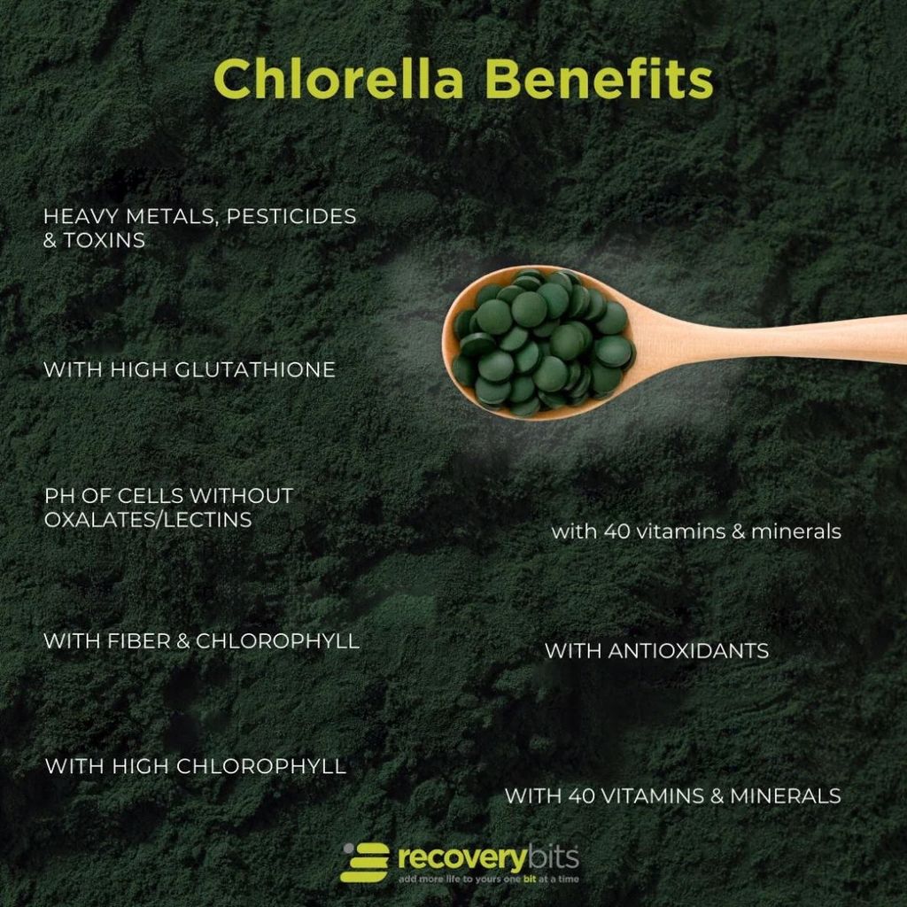 RECOVERYbits® Chlorella - Large Box - Image 4