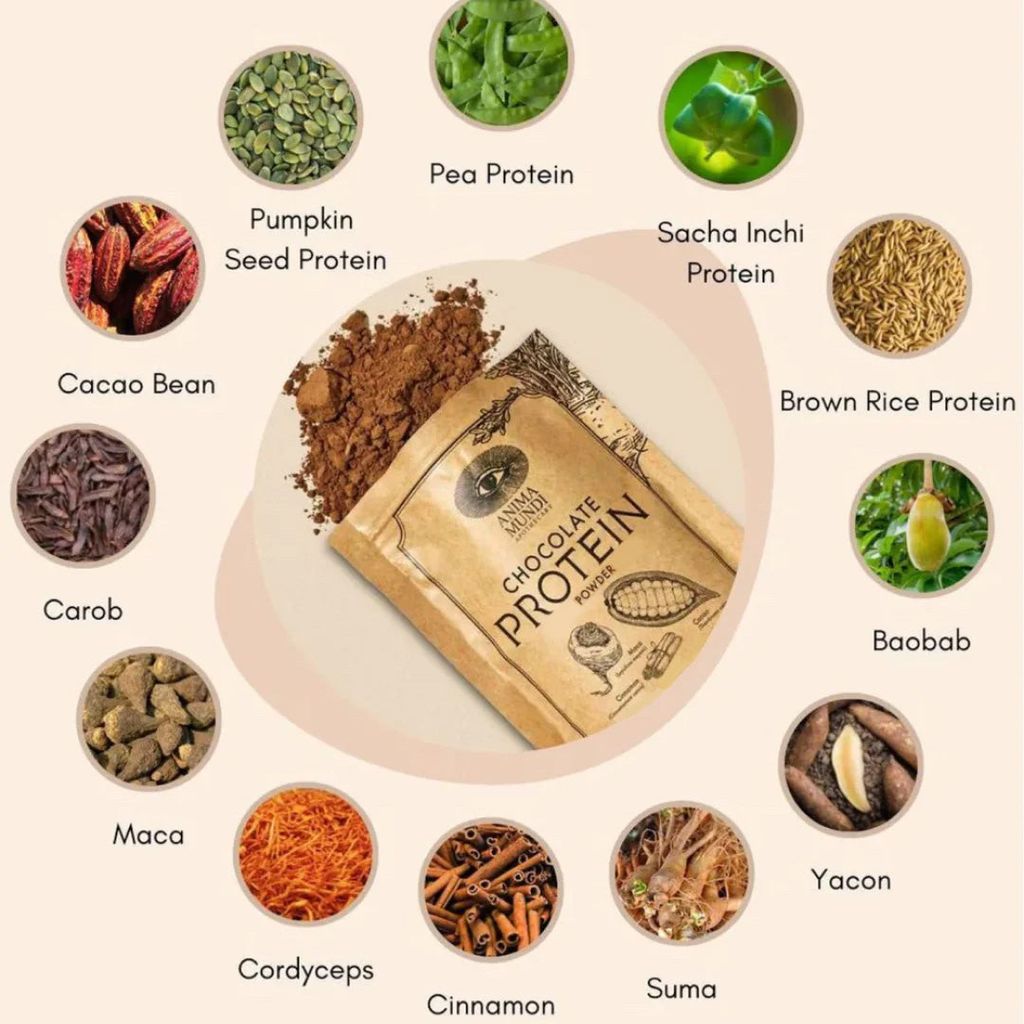 CHOCOLATE PROTEIN | Superfood Powder - Image 4