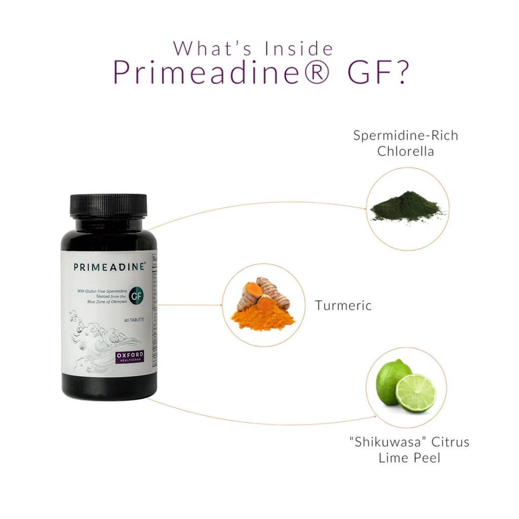 Primeadine® GF Gluten-Free Spermidine - Image 3