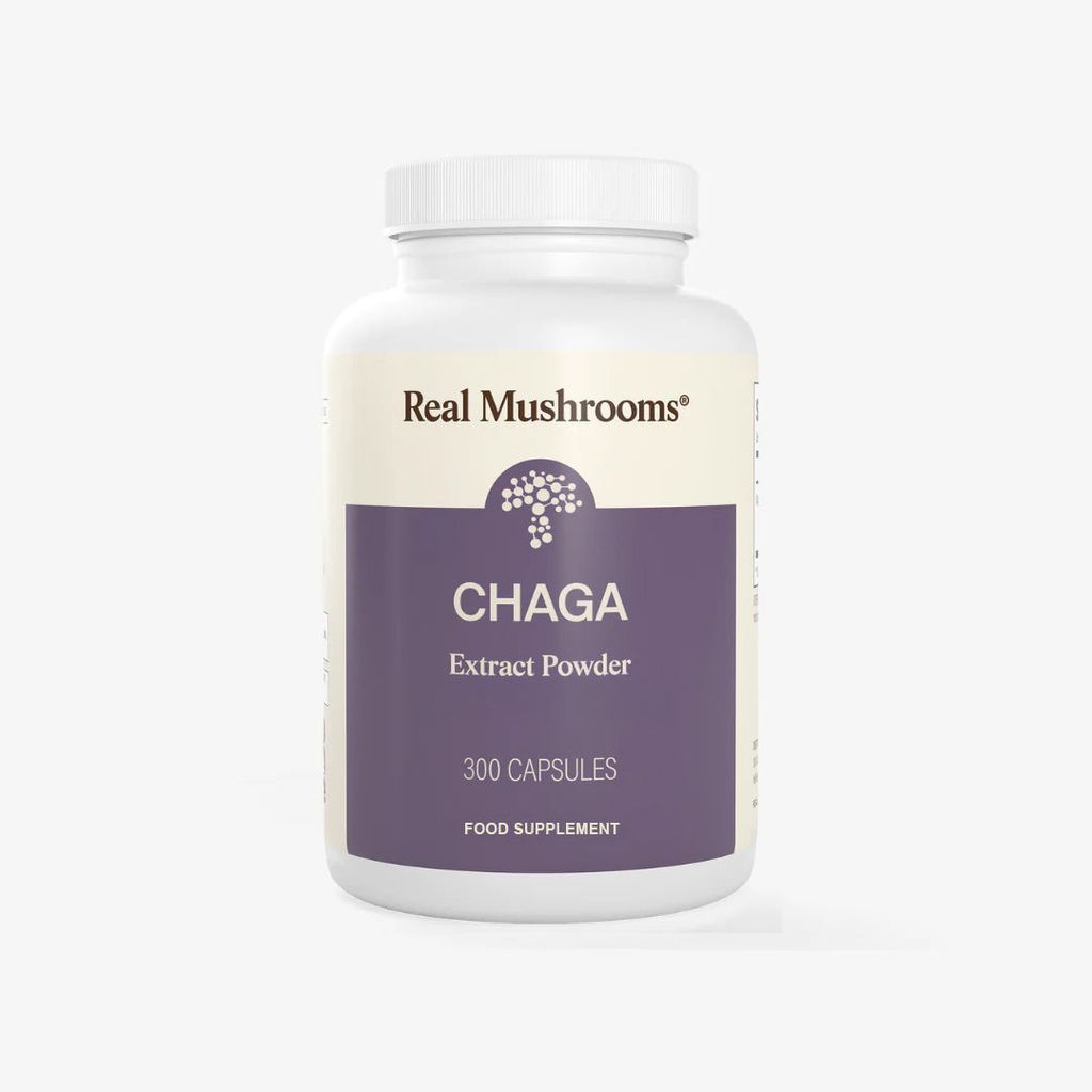 Chaga Capsules - Image 5