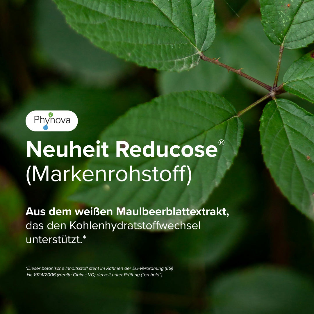 Dietbacs - Image 5