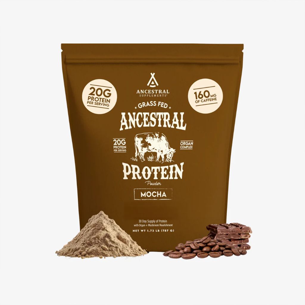 Ancestral Protein Powder - Mocha - Image 1
