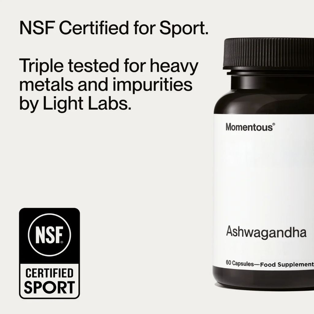 Ashwagandha - Image 3
