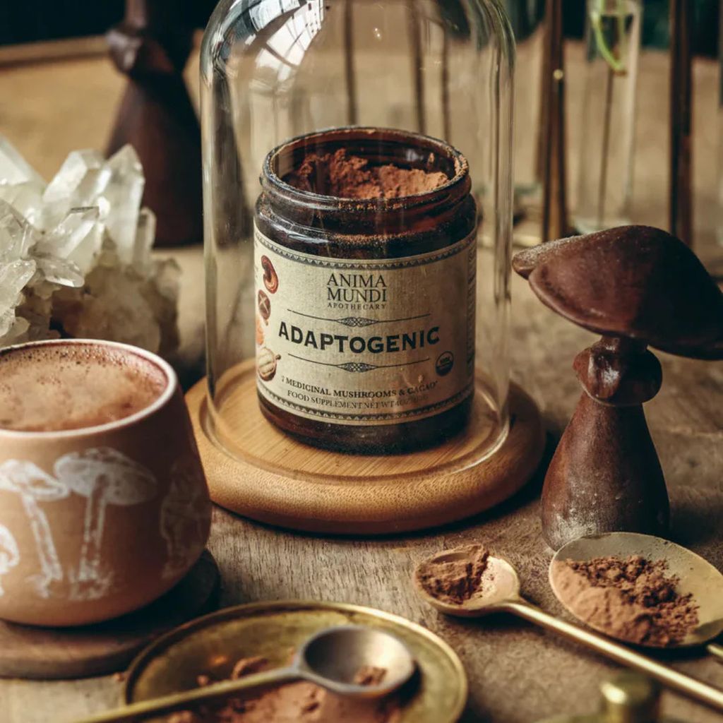 ADAPTOGENIC Powder | 7 Medicinal Mushrooms + Cacao - Image 3