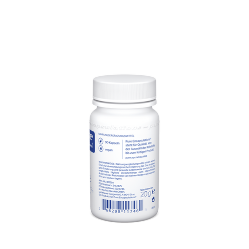 B12 Folate E