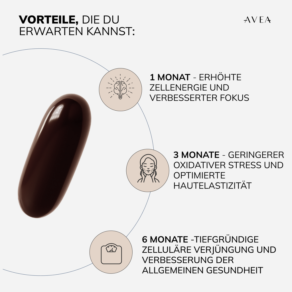 NAD+ Booster · NAD+-Verstärker