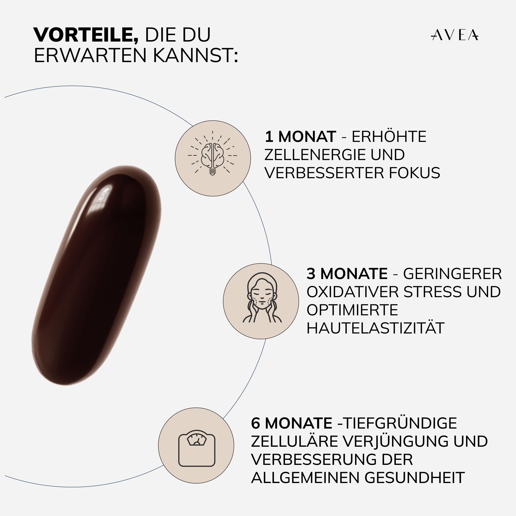 NAD+ Booster · NAD+-Verstärker