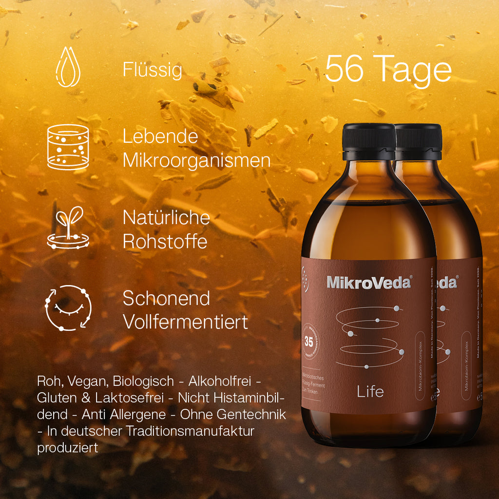 Kurpaket REGENERATION