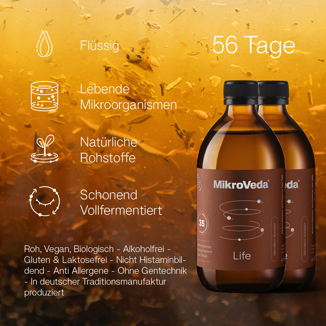 Kurpaket REGENERATION