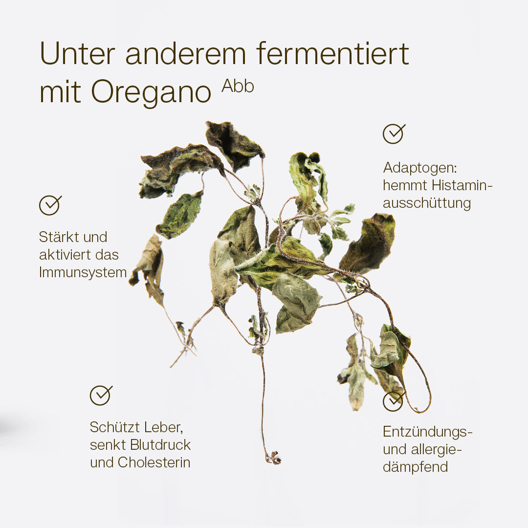 MikroVeda NuLife