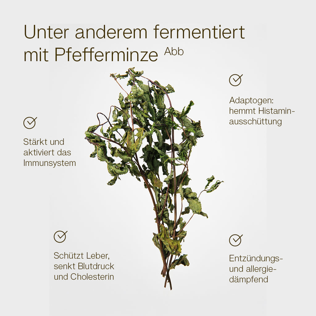 Oral Mint Spray